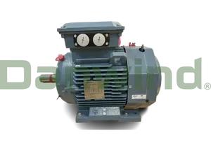 FAN MOTOR