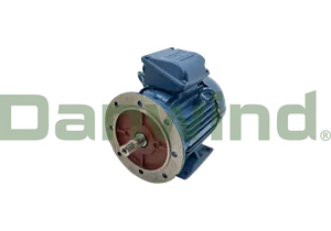 THREE PHASE INDUCTION MOTOR- SQUIRREL CA