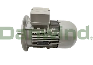 ELECTRIC MOTOR